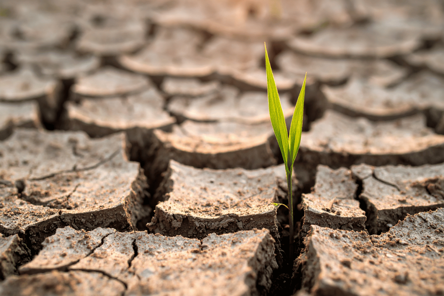 8 NAČINA DA PONOVO POKRENEŠ SVOJ ŽIVOT OD NULE